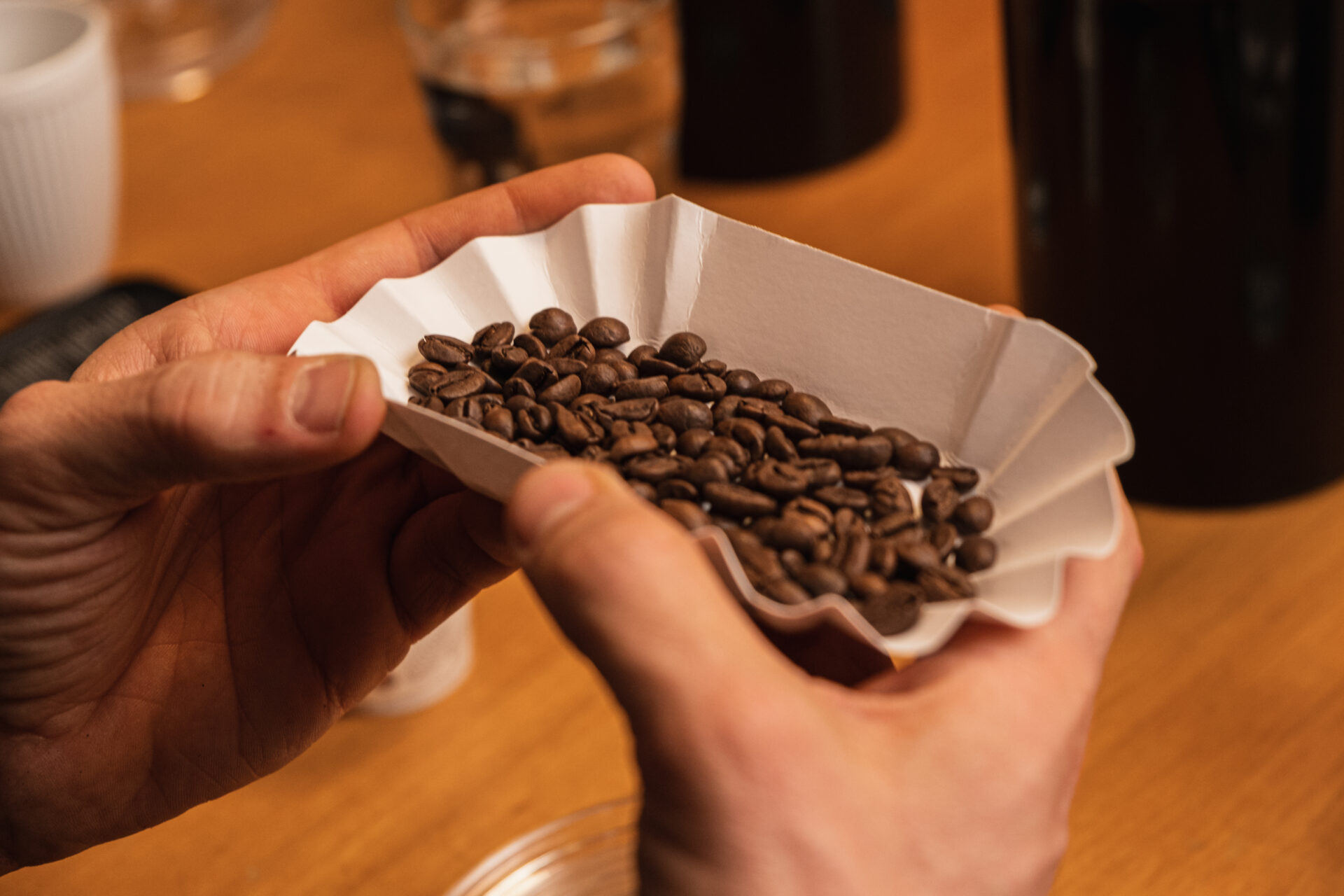 Cupping Session Dresden