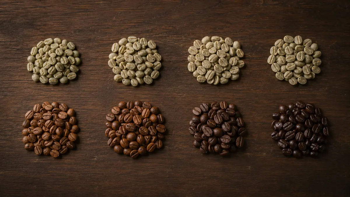 Rohkaffee und die dazugehörige Röstung von vier Sorten im direkten Vergleich